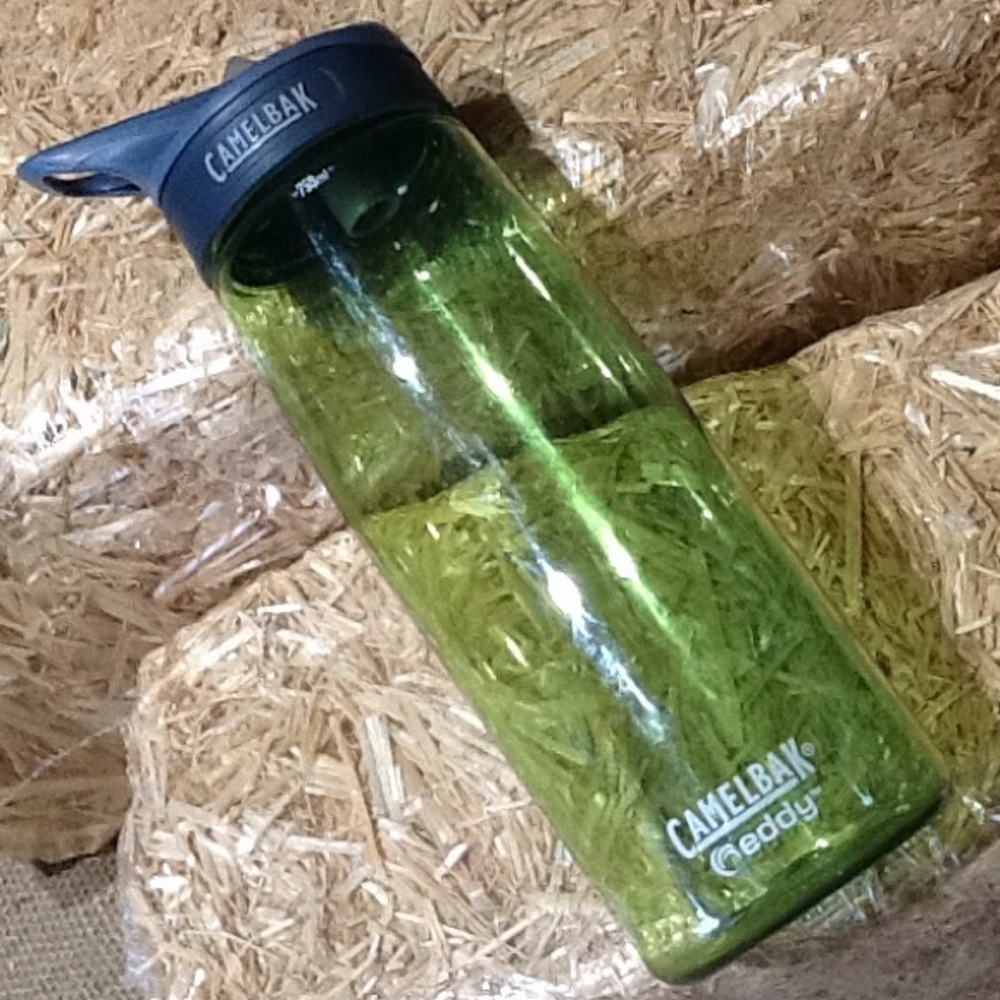 Camelback Eddy Water Bottle
